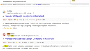Best Website Designers Karaikudi
