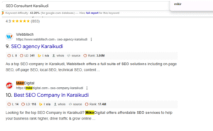 SEO Consultant Karaikudi